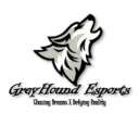 Greyhound Esports Discord Server Icon