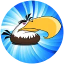Solana Bird
