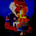 Auburn Meme server