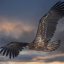 Dragonsky