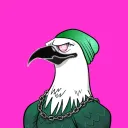 House of Hawks
