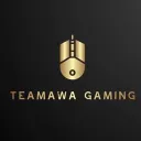 Teamawa Gaming