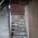 Basement of Freaks
