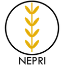 NEPRIDAO