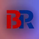 BlueRed Romania Discord Server Icon