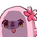 🌸SqLAさーばー🌸