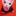 bingus café's icon