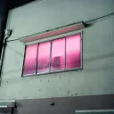 MISGUIDED YOUTH