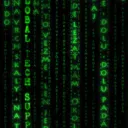 Beginner's Coding Club