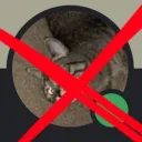 anti zoo server