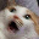 YOCAS Discord Server Icon