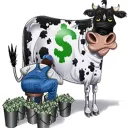 Cash Cow Farm