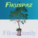 Fikus Family
