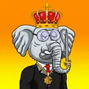 Elderly Elephants