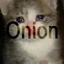 Onion