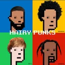 HAIRY PUNKS