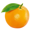 The_Real_Orange Community