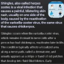 ɴᴇᴄᴏ ᴀʀᴄ ᴘᴀʀᴀᴅɪꜱᴇ Discord Server Icon