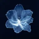 ático sin amigos Discord Server Icon