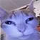LVAM Server