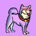 BP Kennel Club
