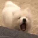 <3333