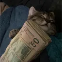 ✦ ✦