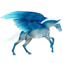Crypto Horses