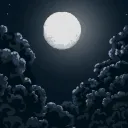 Nights
