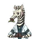 Zen Zebra