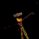 Halloween Town 🎃