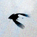 Creatures Discord server icon