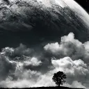 humans Discord Server Icon