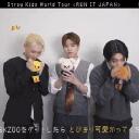 🐿🐥🐶 /SKZ ﹕ #VIRGORACHA icon