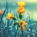 The Plague of Merlywn Discord Server Icon