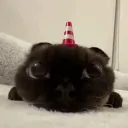 kiniso Discord Server Icon