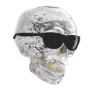BAD SKULLS CO.