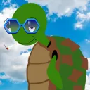 TokingTurtlesNFT's server