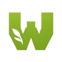 Wild Studios