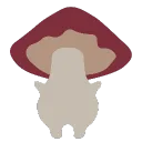 𝐋𝐨𝐜𝐚𝐥𝐥𝐲 𝐆𝐫𝐨𝐰𝐧 𝐈𝐝𝐢𝐨𝐭𝐬