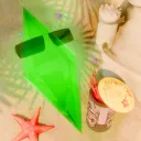 Simscord