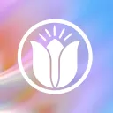 Tulip.money