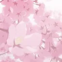 springtide !
