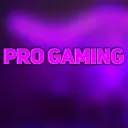 Progaming serberberberber