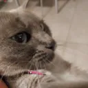 Useless Technologies (archived... Discord Server Icon