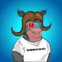 ELON MUSK OX NFT's & CULT COIN