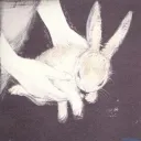 ﹒buni﹒𝜗𝜚 Discord Server Icon