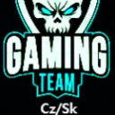 Gaming Team Cz/Sk