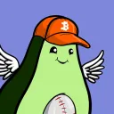 Tiny Avo Alliance