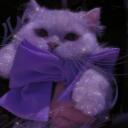 @ C A T  // shinycats    Discord Server Icon